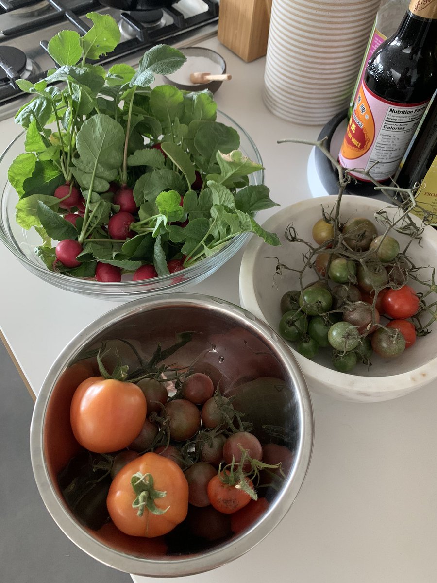 oacgnol@mas.to tweet media