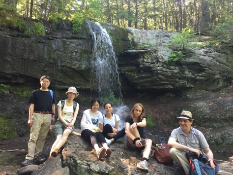 DRSISMMS's tweet photo. Meet the Sokol lab (https://t.co/siwbdoAhCD). The Sokol lab investigates how embryonic cells are instructed to align after gastrulation. Apply to the DRS MTA in the PhD program @GradSchoolSinai and explore with the Sokol lab! https://t.co/vk62a2yj62