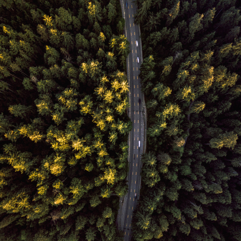 New roads lead to new places!

Where are you heading this weekend? 🛣️

📸 credit: @a_view_from_god

#Quupe #QuupeLife #ViewFromAbove #Forests #NewRoads #NewExperiences #Rental #RentFilmGear #HireACamera #Canon #Sony #Nikon #Lens #Photography #Travel #Vancouver #vancouver_canada