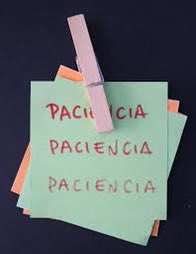 Luis Fiore tweet media