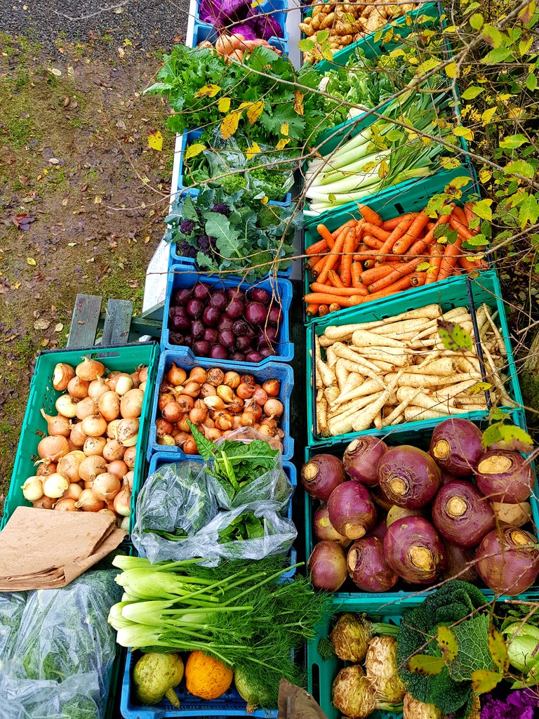 vegieguy's tweet photo. Today's veg today !
My Farm gate vegetable pop up stand runs all day tomorrow . #supportlocal #naturalgrown #SmallBusiness #popup https://t.co/qtgOI8EJNx