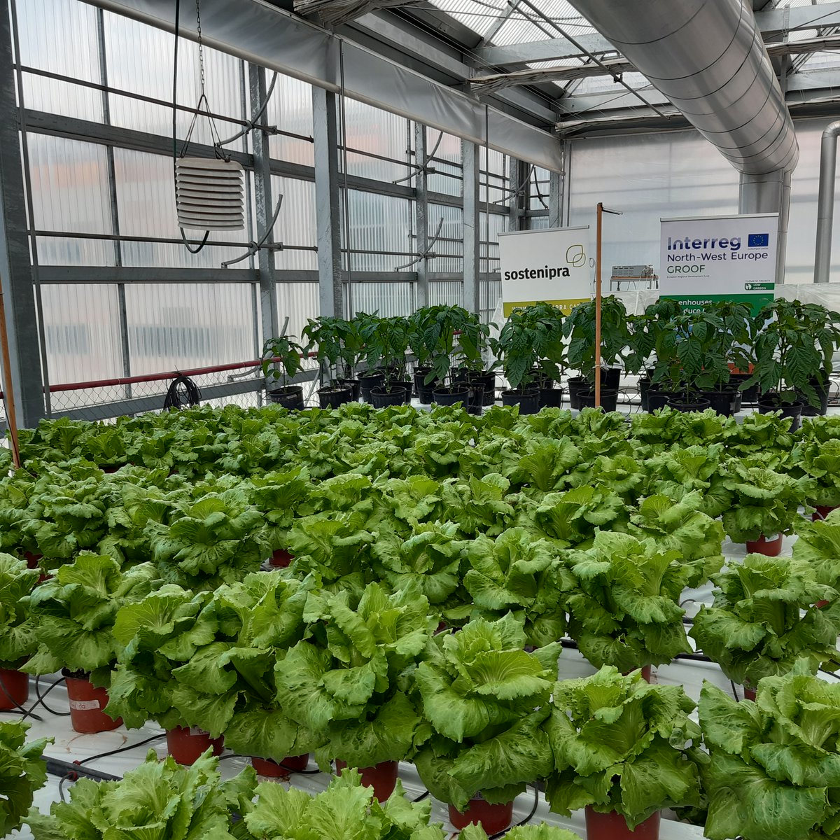 Els nostres investigadors <a href="/ICTA_UAB/">ICTA-UAB</a> <a href="/UABBarcelona/">Universitat Autònoma de Barcelona</a> mostren com l'agricultura urbana, <a href="/GROOF_project/">GROOF project</a> <a href="/EUFoodE/">FoodE</a> pot reduir els consum d'aigua i nutrients amb una bona estrategia