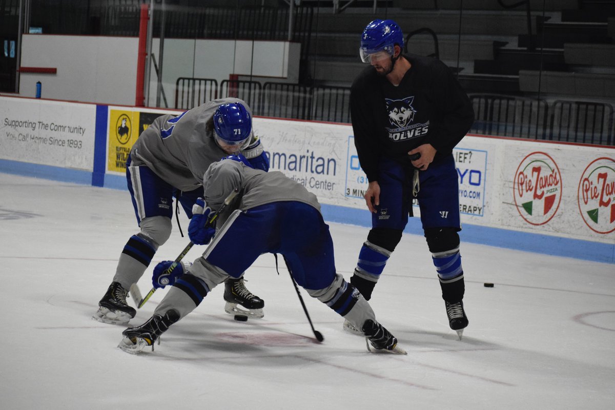 Watertown Wolves tweet media