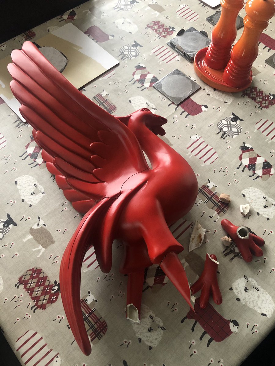 jsutt32's tweet image. Lenny’s recovery is going well.  Both legs have set better than anyone could have hoped. The hairline fractures to both wings have been fixed. He’s currently resting after his first round of plastic surgery. We believe he will make a full recovery @LFC #YNWA