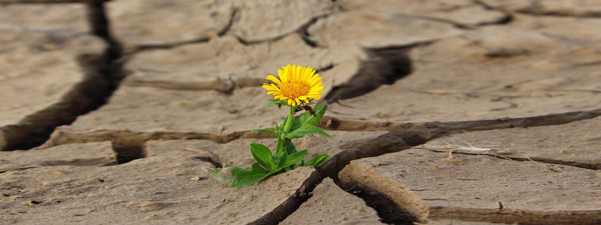 NUNCA hemos ganado al @CDSanFernando1 pero...
Somos cambio. Somos esperanza🇺🇳

Sunday 15th, live on youtube #FEFC

#Jugamosporlahumanidad