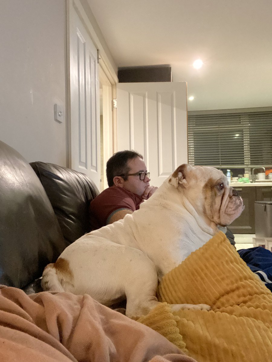 Me and the huMan are watching @TheMasters - huWoman isn’t happy! Sorry darl, boys time 👊🏻 #DogsofTwittter #bulldogs #TheMasters2020