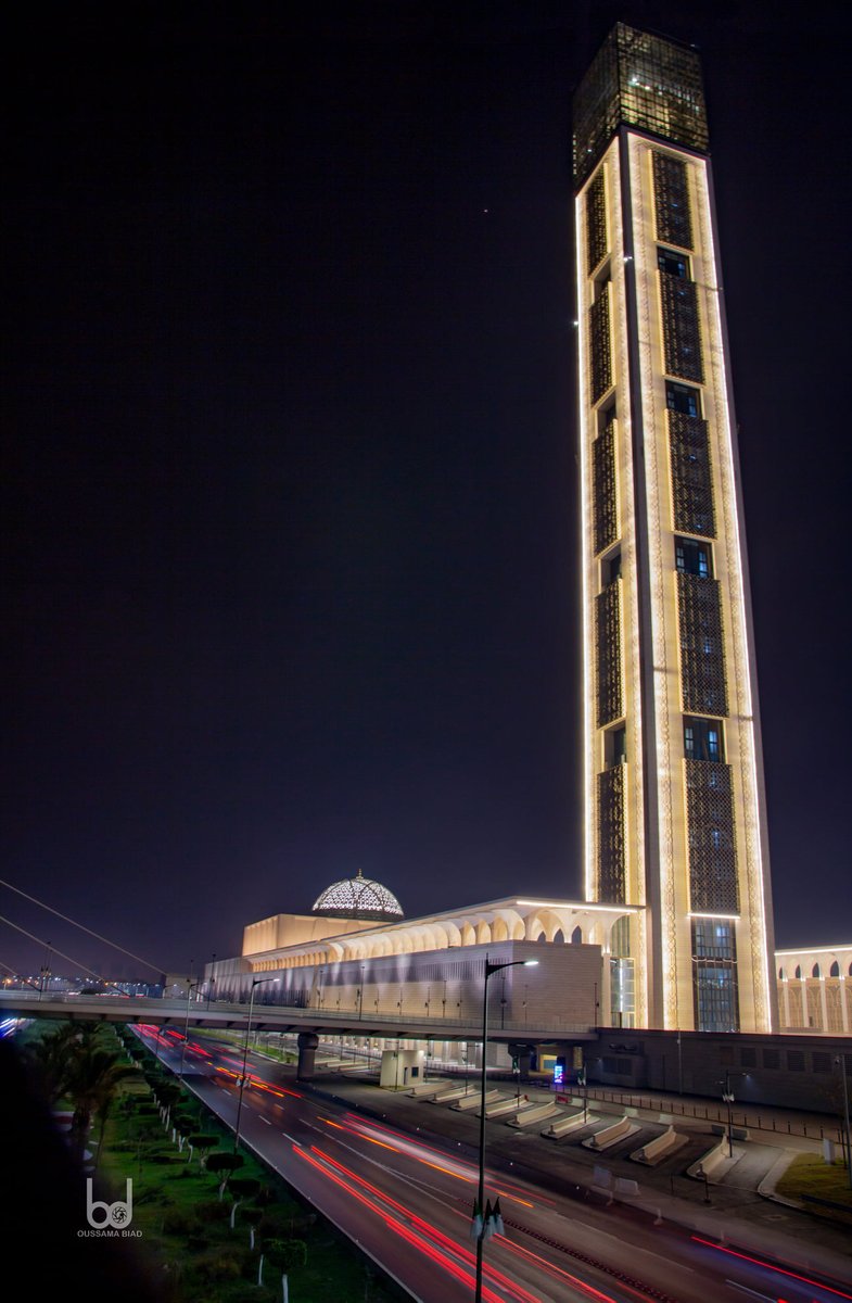 The Great Mosque of Algiers, Algeria.