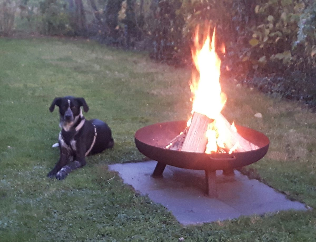 RudithavdL's tweet photo. Doch, ja, so gehts eigentlich. #Feuerkorb #Herbst https://t.co/uu2a7otWG9
