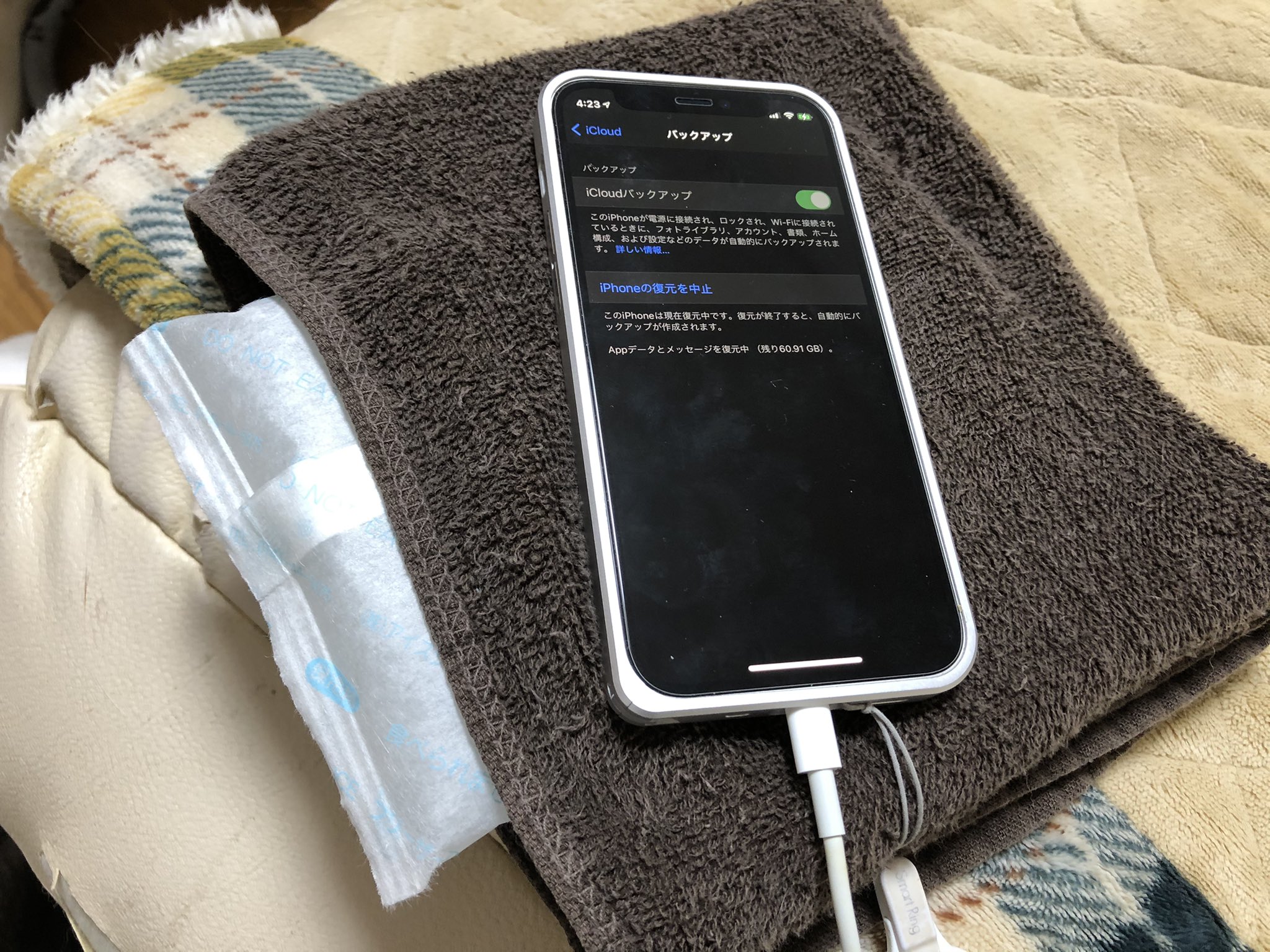 キシイーヌ En Twitter 新しいiphoneのセットアップ作業中 Icloudバックアップからの復元 がやたら遅いなと思ったら 興奮しすぎて高熱が出てドクターストップかかってた なるべく休ませたくないから 保冷剤でベッドを作ってキンキンに頭冷やしてやったら 再び