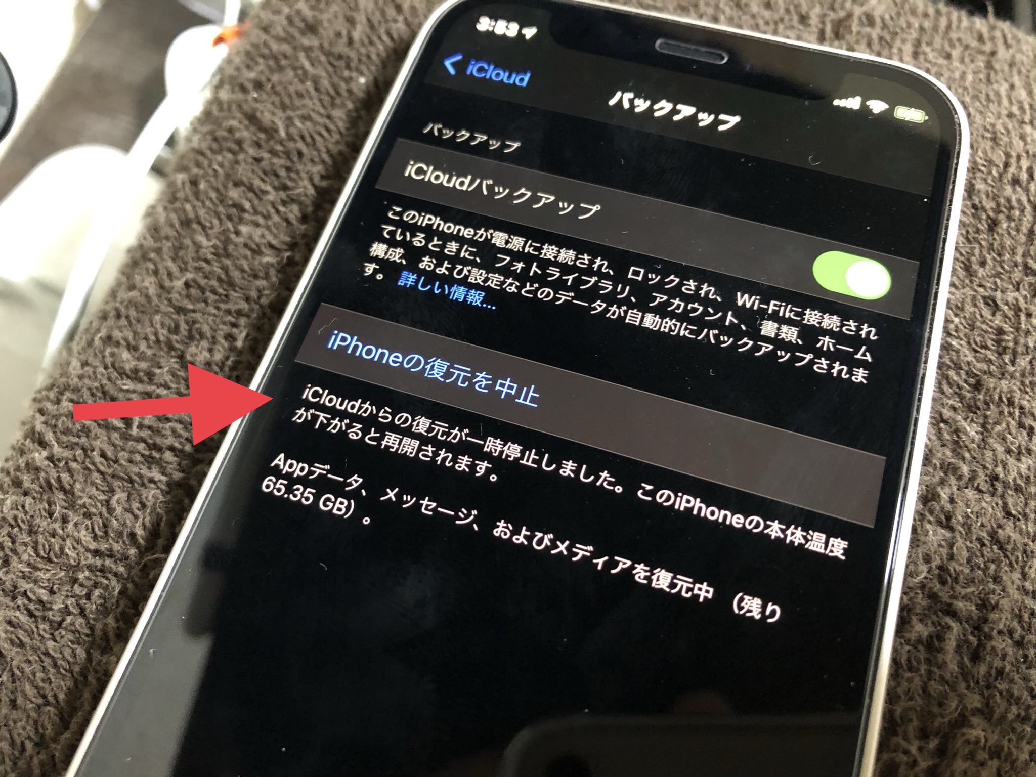 キシイーヌ En Twitter 新しいiphoneのセットアップ作業中 Icloudバックアップからの復元 がやたら遅いなと思ったら 興奮しすぎて高熱が出てドクターストップかかってた なるべく休ませたくないから 保冷剤でベッドを作ってキンキンに頭冷やしてやったら 再び