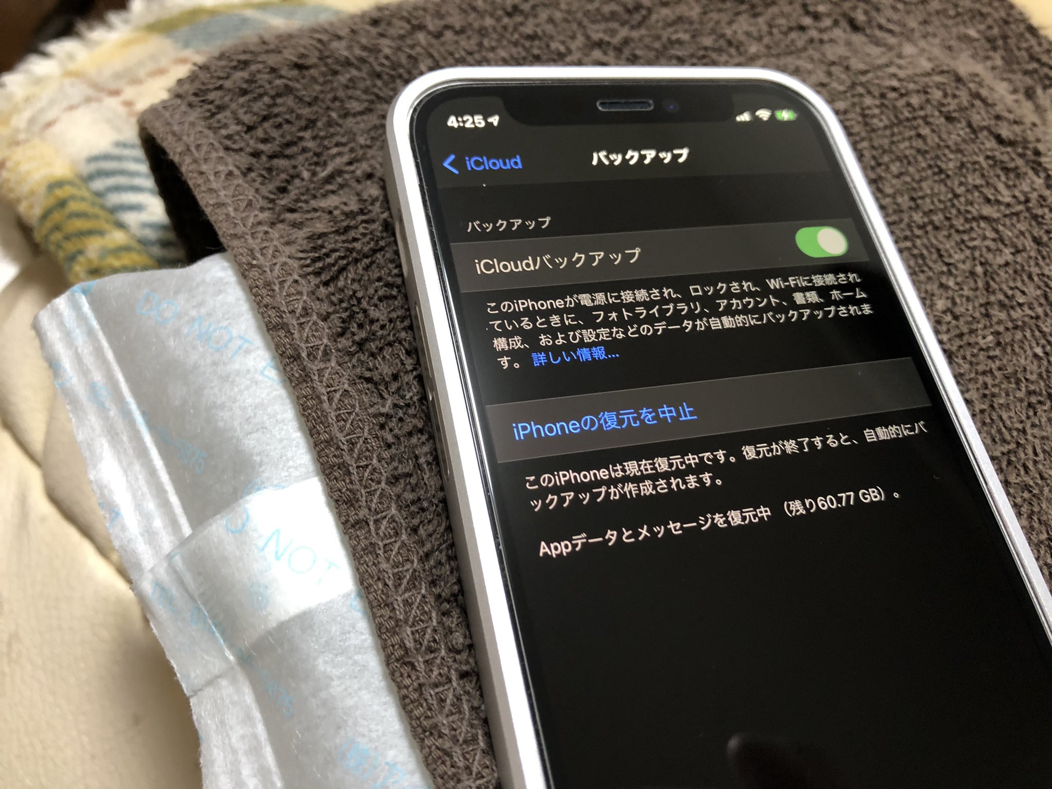キシイーヌ En Twitter 新しいiphoneのセットアップ作業中 Icloudバックアップからの復元 がやたら遅いなと思ったら 興奮しすぎて高熱が出てドクターストップかかってた なるべく休ませたくないから 保冷剤でベッドを作ってキンキンに頭冷やしてやったら 再び