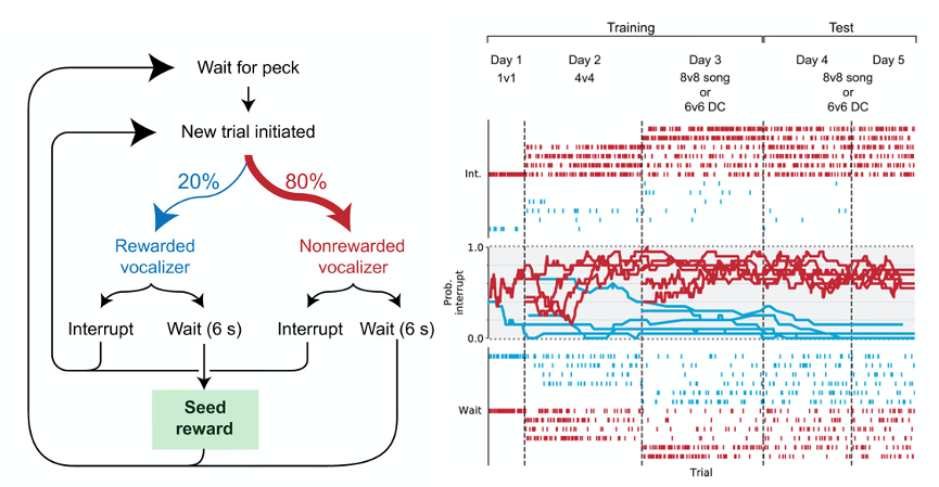 Theunissen Lab tweet media