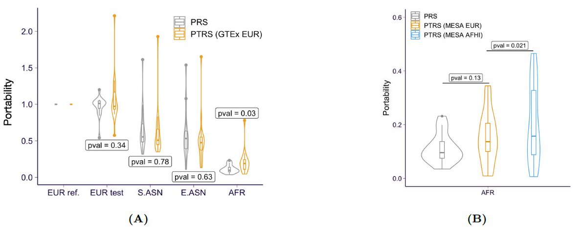 They show that PTRS performs worse than PRS for most traits. However, the decrease in the accuracy of the PTRS in Africans is smaller than that of the PRS, and is even smaller when the expression model was learned in Africans.7/8