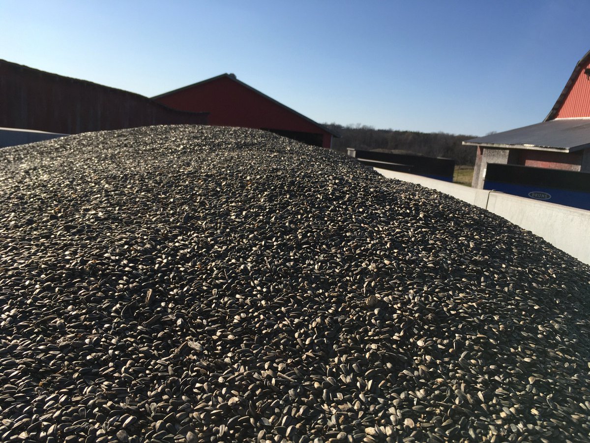 <a href="/ThomWesley/">Rockyrapids farms</a> Quality and quantity are great despite the drought - “fresh and local” available Monday