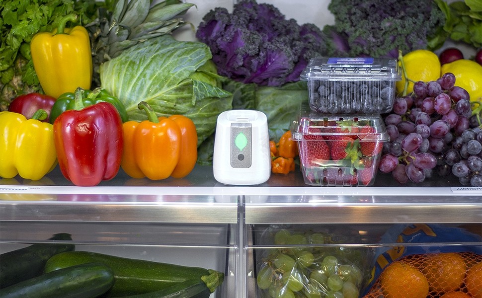 Going #plantbased? Keep all those #FruitsAndVeggies #Fresh with the pureAir #Fridge. Use #ionization and #ozone to prevent decaying produce and eliminating unwanted smells. #Vegan #PlantPower #Thanksgiving #SaveMoney #WholeFoods #EatFresh

ow.ly/YdtK50CkGBl
