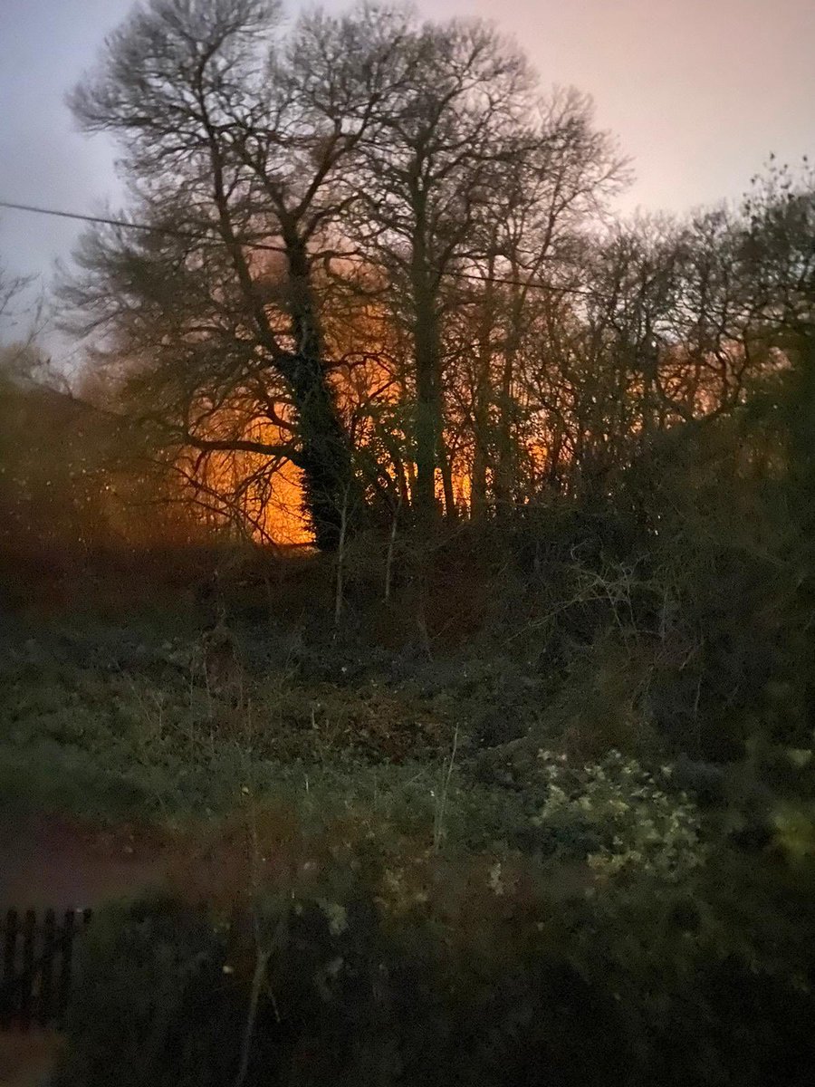 Scadders tweet media