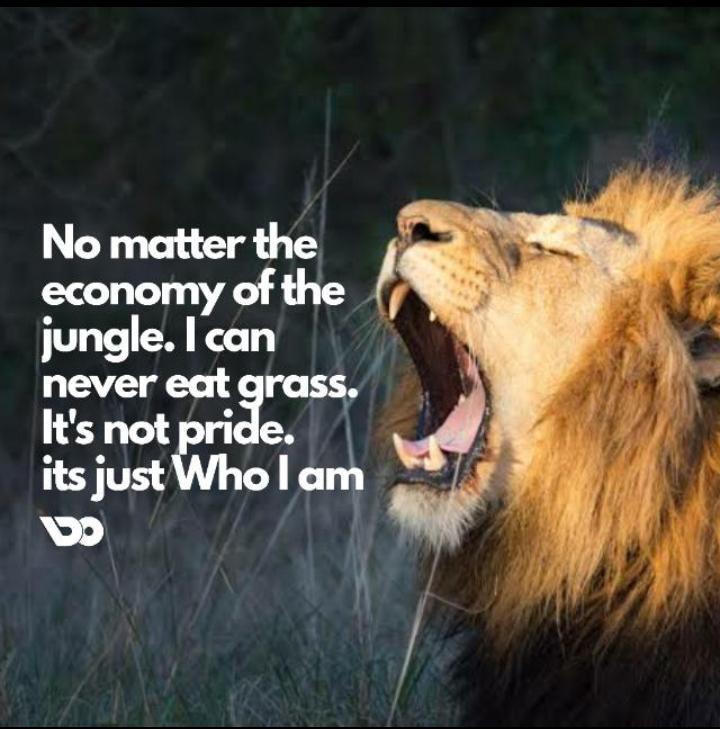 onceghosted's tweet photo. Ain't PRIDE at all🏅.. Just WHO i am⚡
Happy Sunday, only to those that went to CHURCH tho😜🤗
#wemove2020 #onlyoriginalgeorge https://t.co/fVre4iaVY1