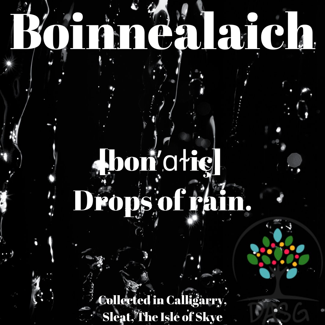 DASG_Glaschu's tweet photo. https://t.co/njOzJE7ffA
#DigitalArchive #IsMiseGàidhlig
#boinnealaich #boinnean #boinne #drop #drops #rain #uisge #bùrn #bùrnmìn #sìde #aimsir #teabhair #weather #fluich #raining
#Cailigearraidh #Calligarry #Slèite #Sleat #AntEileanSgitheannach #TheIsleofSkye #Skye https://t.co/RY045vWBP2