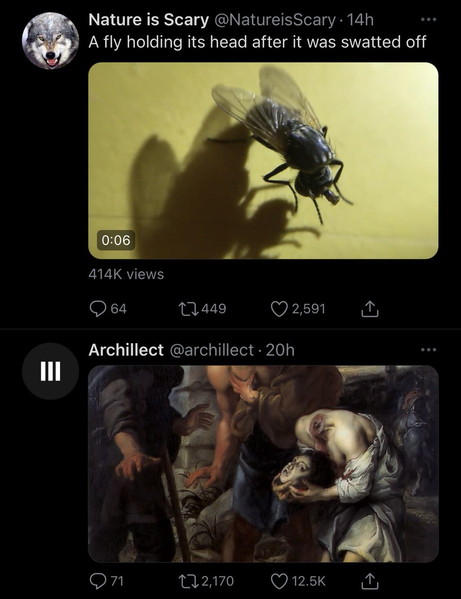 AndrewKahler's tweet photo. What a coincidence @archillect @NatureisScary https://t.co/nR6Lggcz8c