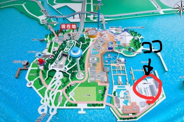 成蹊大学体育会ヨット部 新入生のみなさん 最近は寒いですがいかがお過ごしですか ヨット部はまだまだ新入生を募集中です 活動日は土曜日 日曜日 活動場所は八景島シーパラダイスの中にある八景島マリーナで活動しています 興味のある方 部