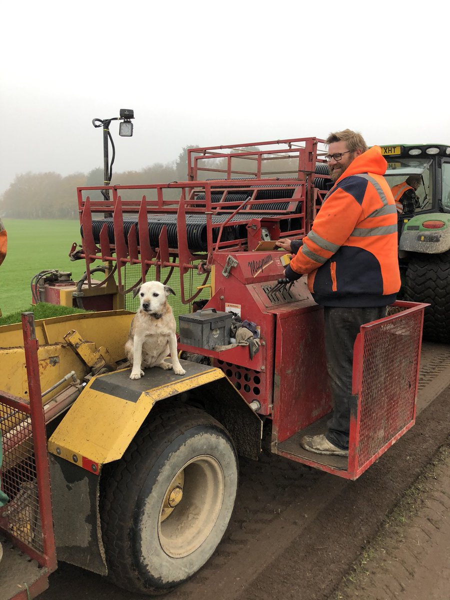 TwigletHutton's tweet photo. Supervising @tillersturf @DogsOfTurf https://t.co/TKe6jXGzaz