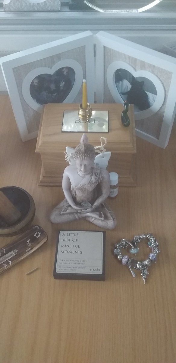 Justagirl2017x's tweet image. 4 years ago I had my dead cats ashes and a sleeping bag. I slept on a borrowed sofa. Today I have a live cat 😊and my own bed. I sleep under a duvet covered in butterflies, my hospital bracelet is now a Pandora one. I&apos;ve written a lot, and won some stuff. This is my #recovery