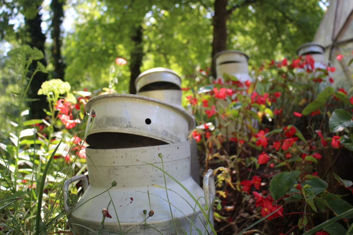 LaNinaCaracol's tweet photo. Vous détestez la nature? Alors n'allez surtout pas lire cet article qui va vous "pétrifier de peur"! 😱🤪
https://t.co/3sRrnAUgyH
#grenoble #jardindesfontainespetrifiantes #lasone #nature #tufiere #cascade #calcaire https://t.co/0FiCWIITfS
