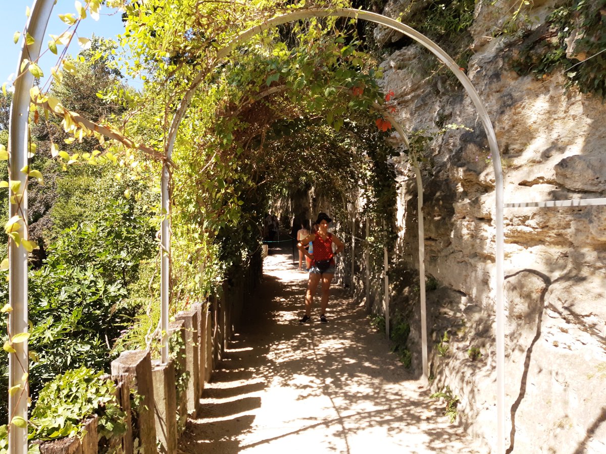 LaNinaCaracol's tweet photo. Vous détestez la nature? Alors n'allez surtout pas lire cet article qui va vous "pétrifier de peur"! 😱🤪
https://t.co/3sRrnAUgyH
#grenoble #jardindesfontainespetrifiantes #lasone #nature #tufiere #cascade #calcaire https://t.co/0FiCWIITfS