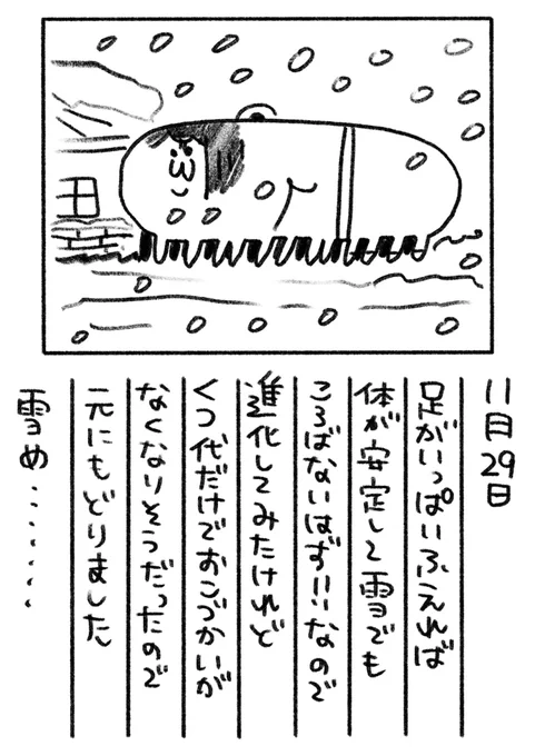 151日目 昨日の雪はすっかり溶けましたね!冬に備えなければ・・・ 