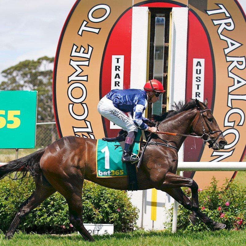 OculusRacing's tweet photo. Fantastic to have Beautrooper lead from start to finish to win Race 3 at Traralgon today! Thanks to @pattymoloney  for a brilliant ride and a huge congratulations and thanks to Beautrooper’s owners who have been loyal supporters of our stable! https://t.co/JPWRYFdXDw