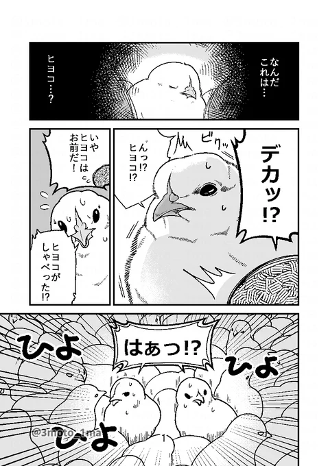 再掲「ヒヨコ共がゆめのあと」(1/3)
?ツイートの最後に通販のお知らせ! 