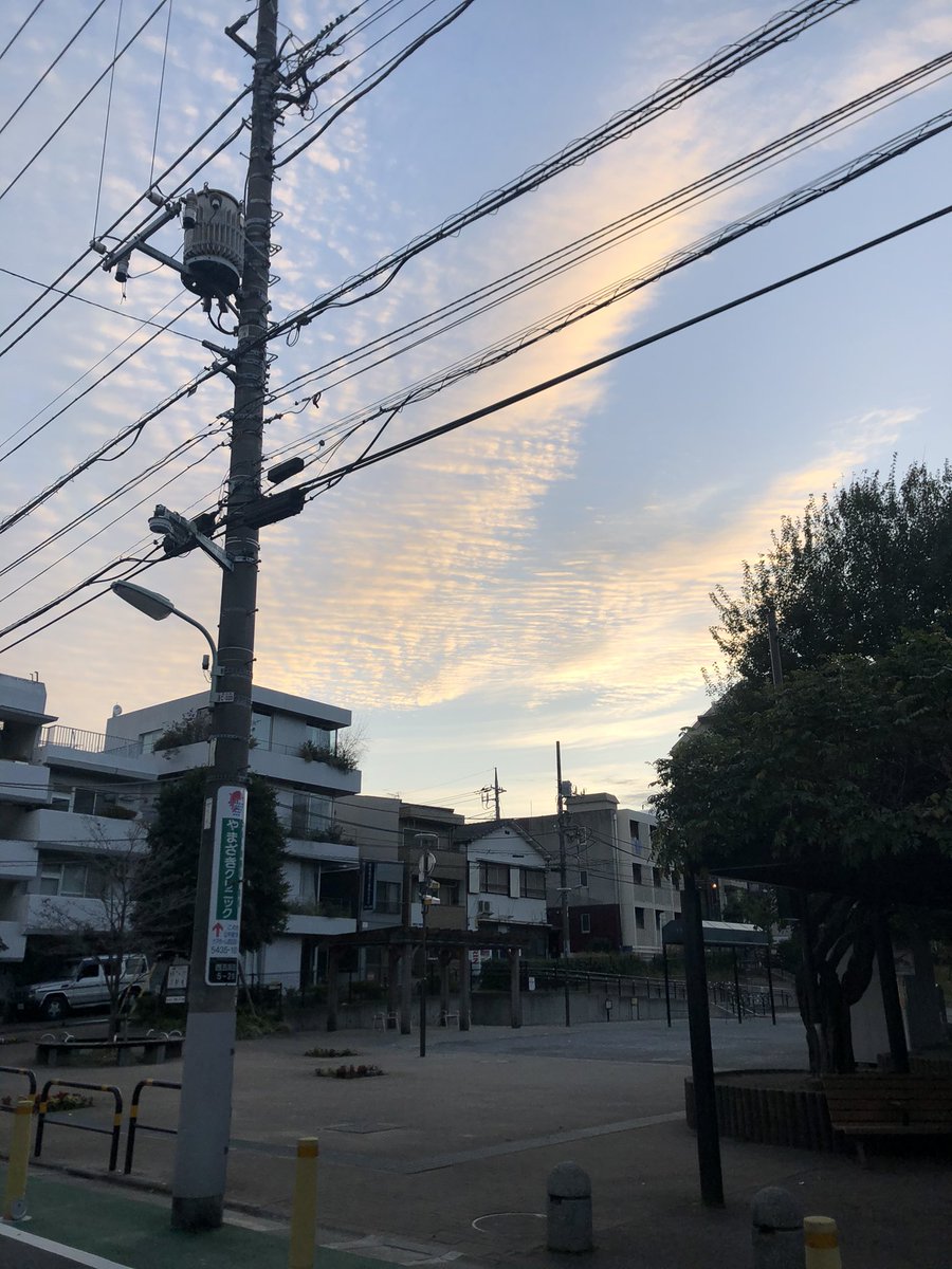 gotandaselect's tweet photo. 空気が澄んでいる朝は最高に気持ちいいですね♪
#空気が澄む
#朝
#五反田
#お散歩 https://t.co/skQv596nF2