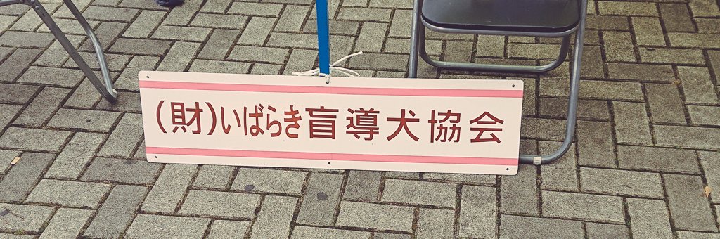 いばらき盲導犬協会 Hashtag On Twitter