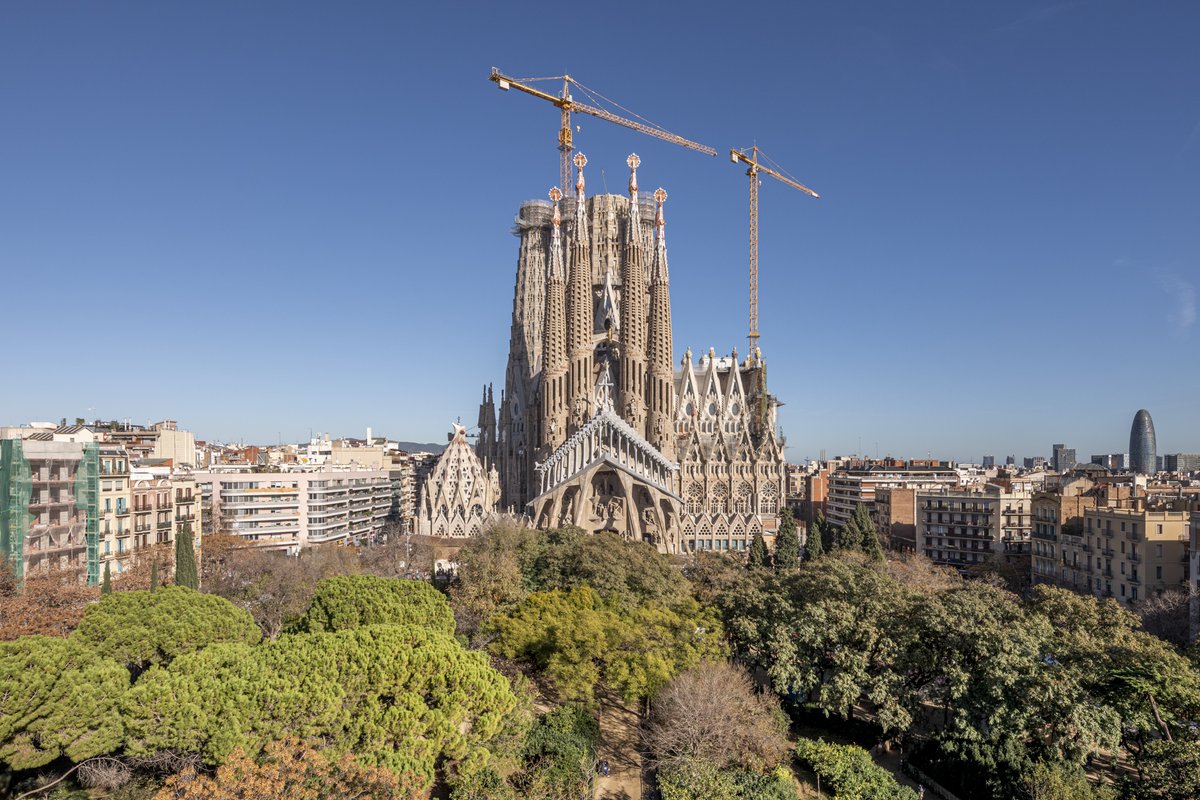 Monkey D Luffy モンキー D ルフィ 3monkey D Luffy Twitter