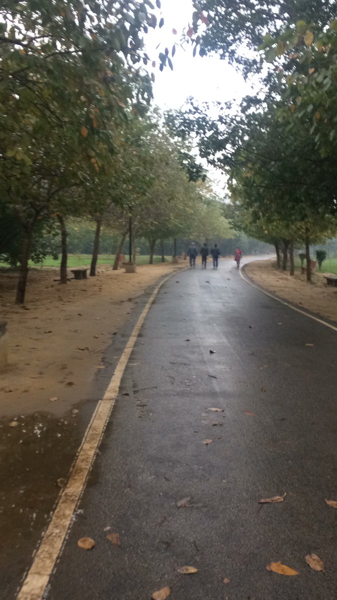 Couplets tweet media