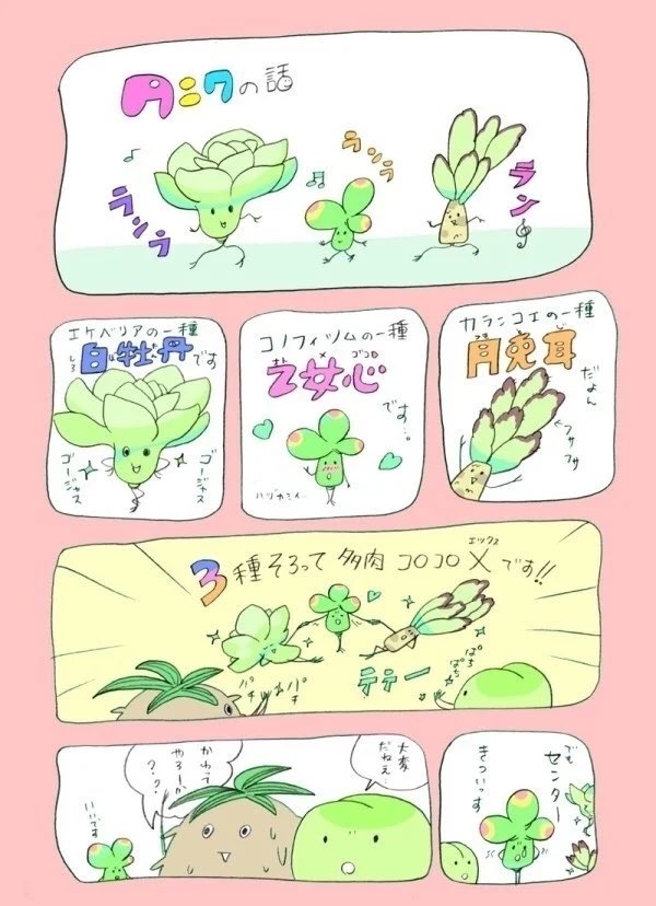 いい多肉植物の日と言うことらしいので多肉の漫画を置いておきます〜
多肉植物の楽しさとか可愛らしさ、その深さが伝わるといいね〜!!
日本多肉や国際多肉でも勉強できるよ!
#いい多肉の日 