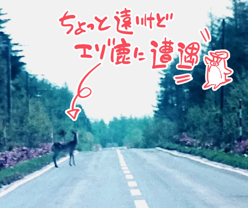 【2話の終末ツーリングこぼれ話】
冒頭でヨーコが眺めていたメジャーな観光地、
中でもライダーに人気なのが「北海道ミルクロード」?

一言でいえばどこまでーもまっすぐ伸びる道:THE・北海道!で、広い大地を味わったその先の絶景スポット「開陽台」は広～くて地平線が見通せます。晴れた日は最高☀️ 
