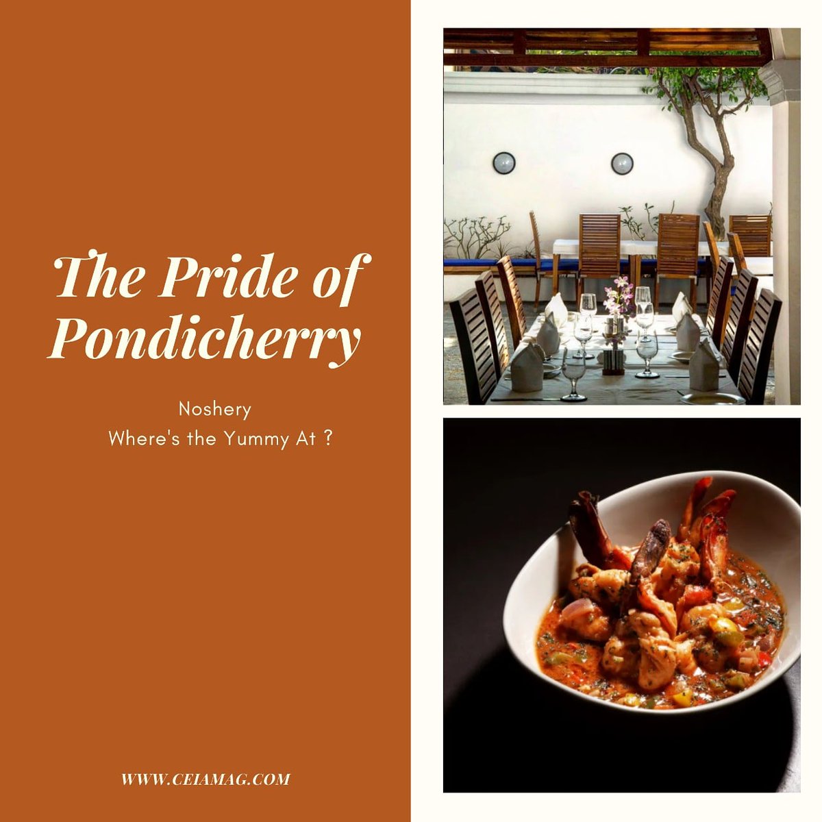 CeiaMagazine's tweet photo. Looking for a fabulous place to dine in Pondicherry? Read about Le Dupleix (on our blog https://t.co/AWeUsdbcWm) which is well-known for its ambience and delicious food!

#ledupleix  #pondicherry #puducherry #ceiamagazine #foodandhospitality #digitalmagazine https://t.co/sxwCxByCUZ