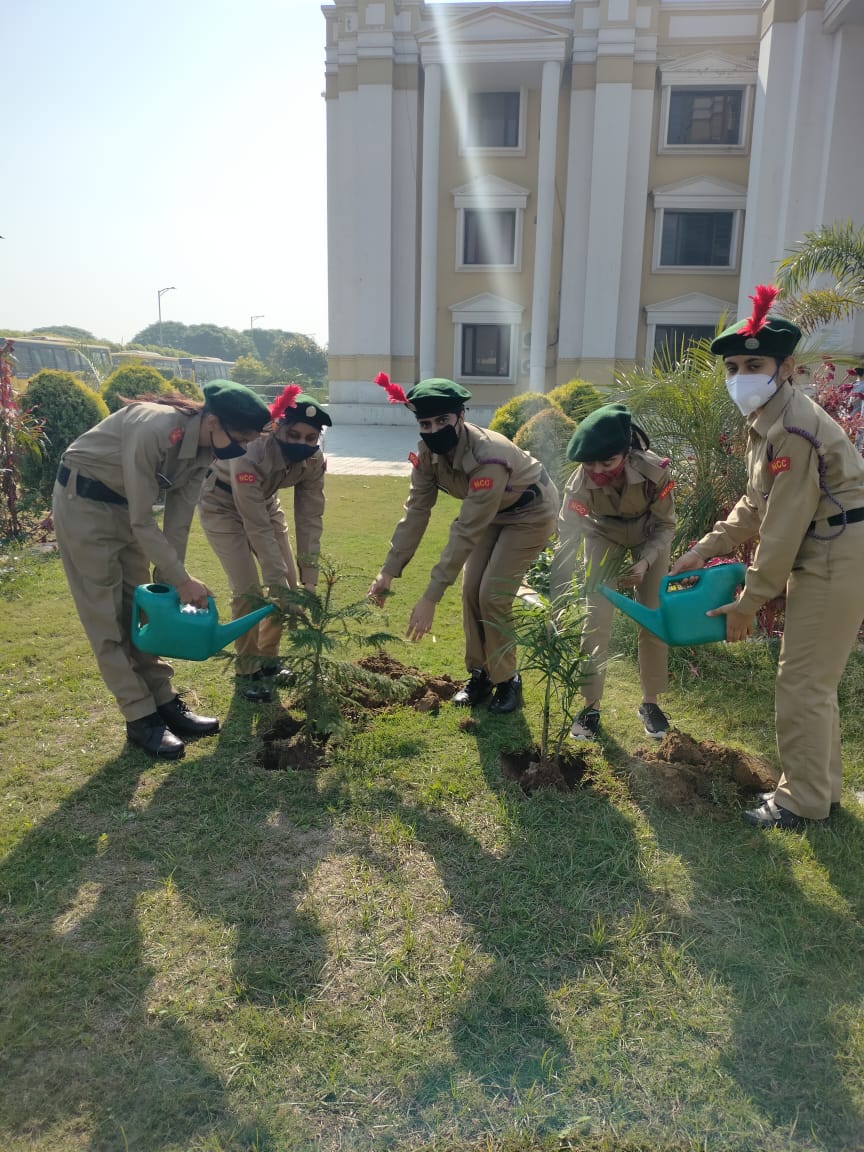 St. Joseph's International School Hisar tweet media