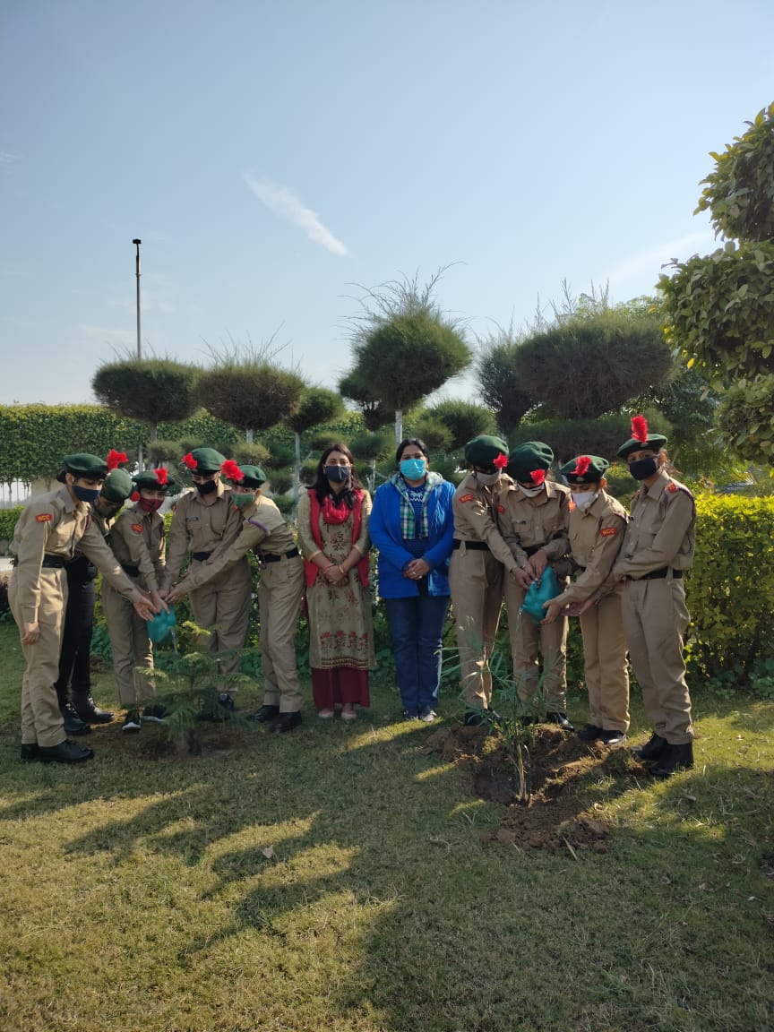 St. Joseph's International School Hisar tweet media