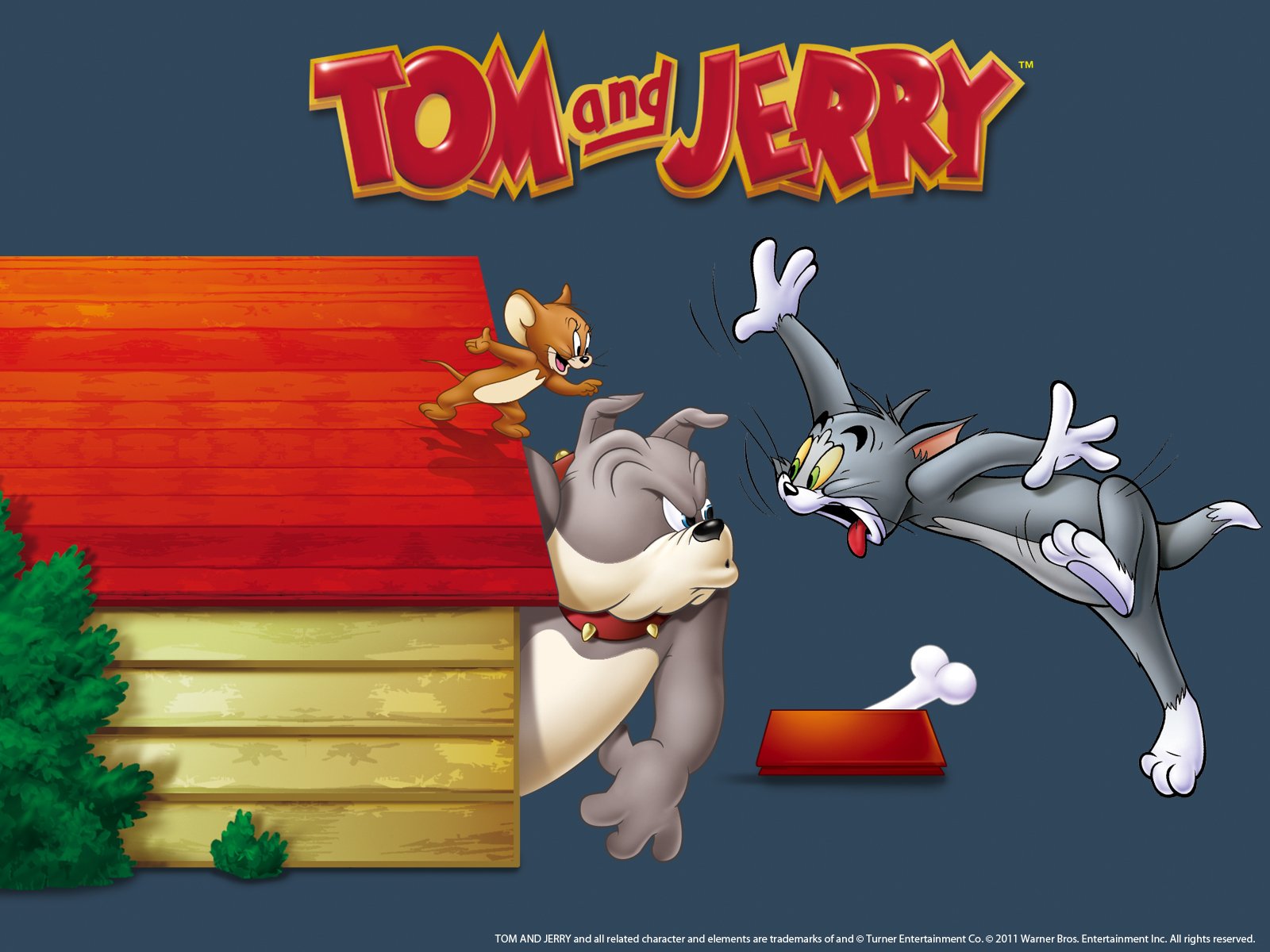 Том и джерри / tom and jerry (2021). Шоу тома и джерри 2021. Фильм про тома и джерри 2021. Tom and jerry show 2014. Tom si jerry in romana.