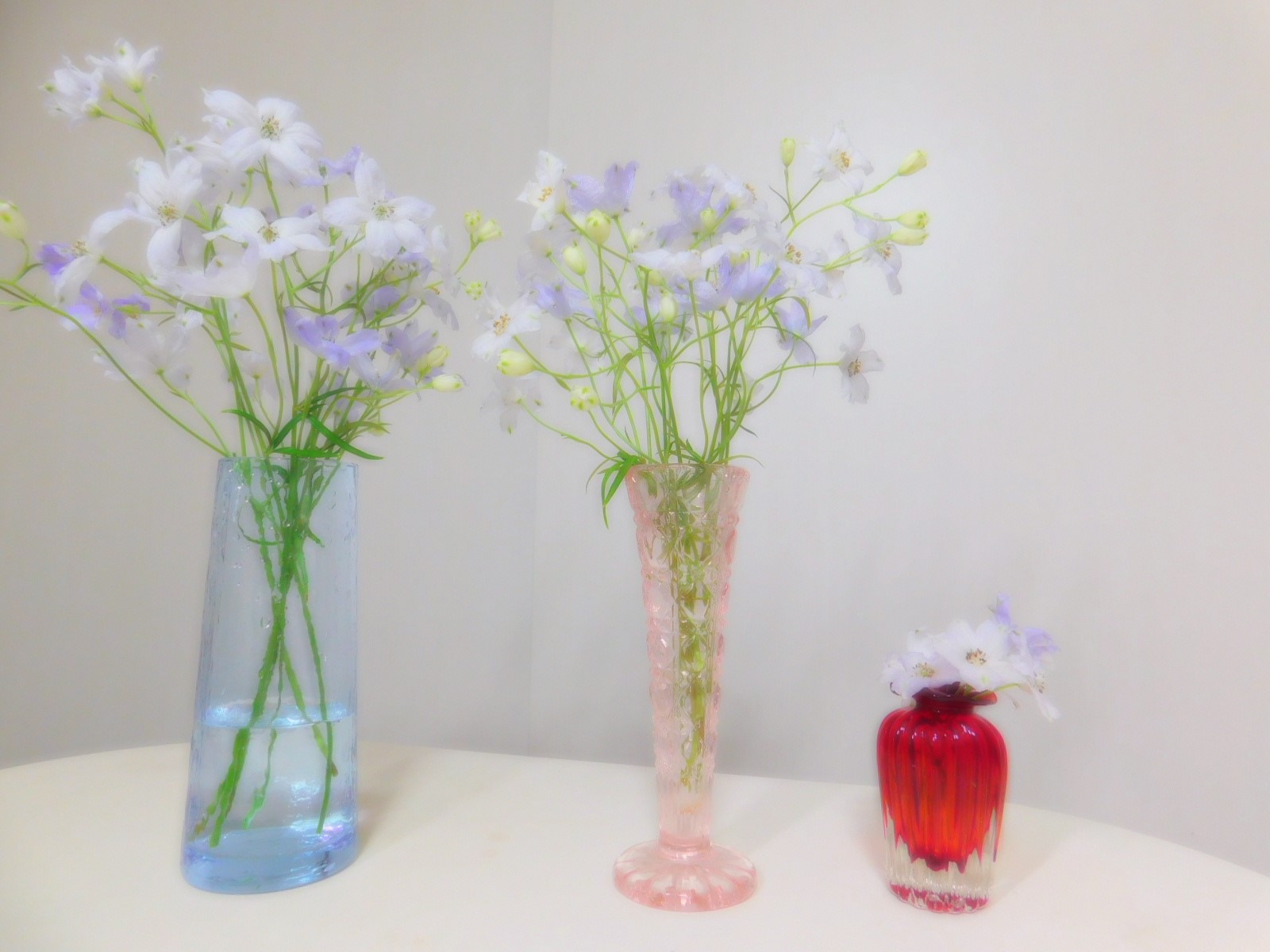 Zofia 先週頂いたデルフィニウムの切り戻しをしつつ ごく短いものは小さな花瓶へ ひらひらと金魚のように 少し歪な吹き硝子の 花瓶 ようやく出番がきた T Co Dqt4ktl6xd Twitter