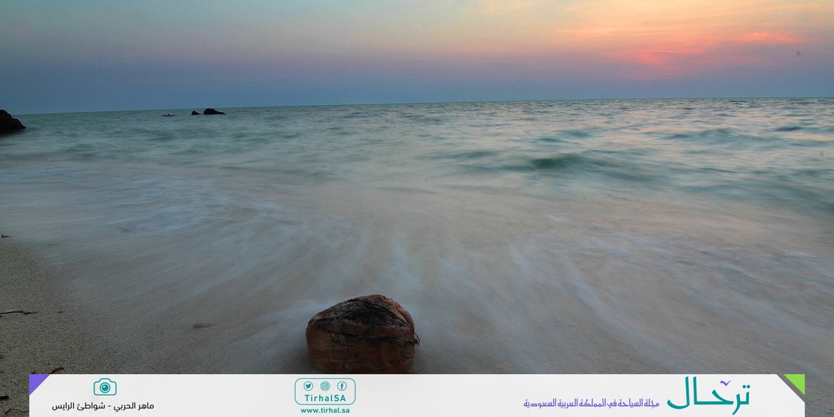 شاطئ الرايس في منطقة #المدينة_المنورة يزهو برماله البيضاء التي تجتذب إليه أسراب الطيور المهاجرة
tirhal.sa/Subjects/Pages…

تصوير: ماهر الحربي
#مجلة_ترحال