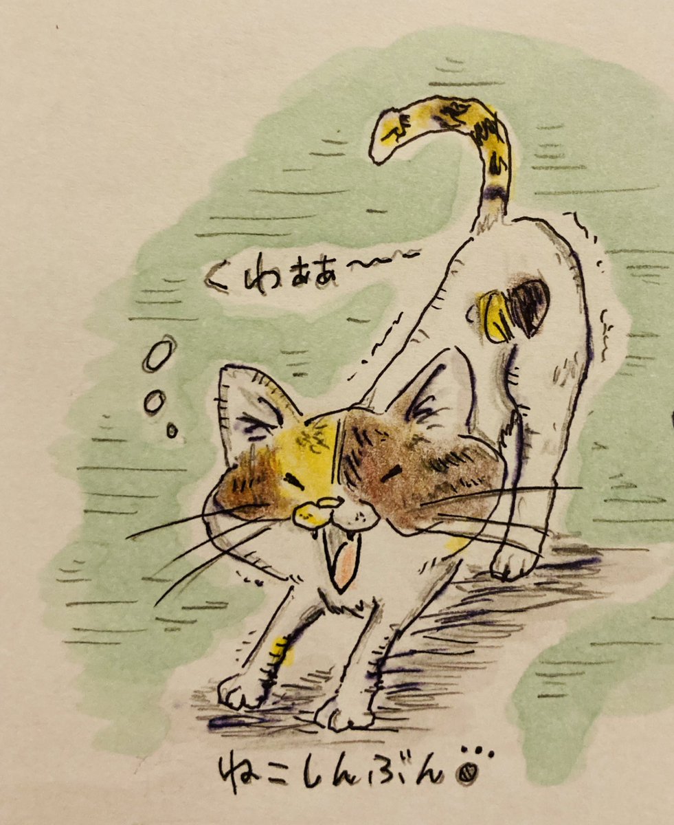 ねこしんぶんのお家の三毛猫さん(=^x^=)
とっても可愛いツンデレお嬢ちゃん??
過去絵を塗り直しました☺️
#イラスト #猫イラスト #絵描きさんと繫がりたい #三毛猫 #イラスト好きな人と繋がりたい 