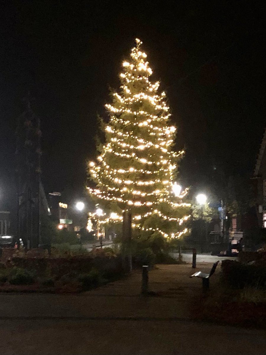 Gisteren is de kerstboom weer voorzien van lampjes ✨🎄
