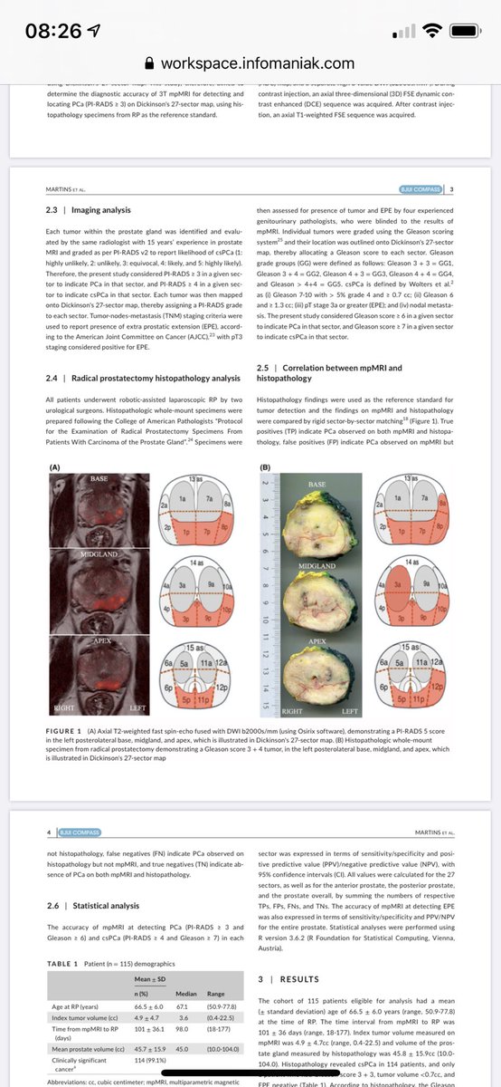 martina martins tweet media