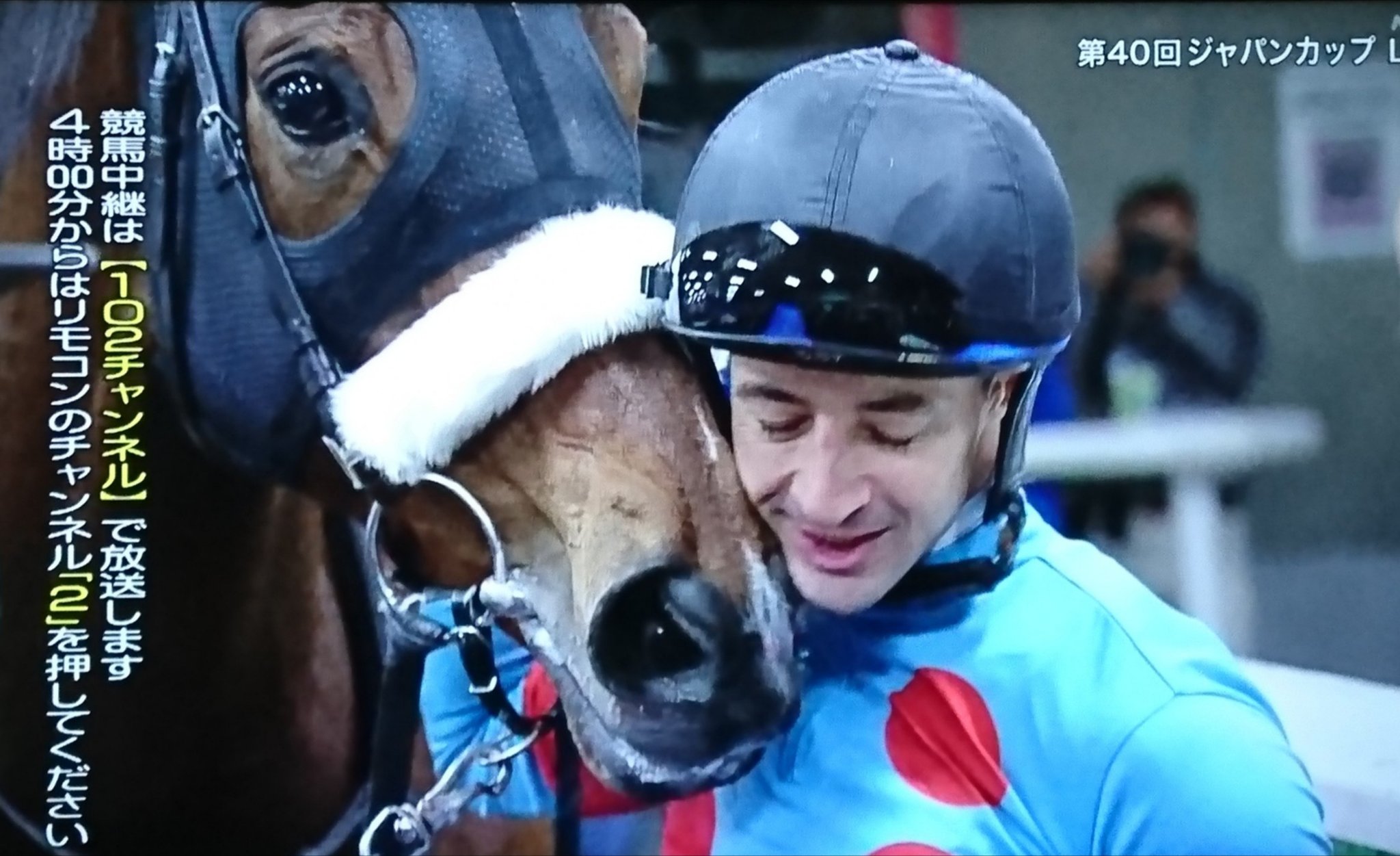 獅子皇🐾🐱 on X: 