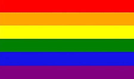 The original Rainbow Flag was designed by artist, designer, Vietnam War veteran & then-drag performer, Gilbert Baker. It was commissioned by politician Harvey Milk for San Francisco's annual pride parade in 1978, and evolved into the widely recognised 6 coloured PRIDE flag  2/8