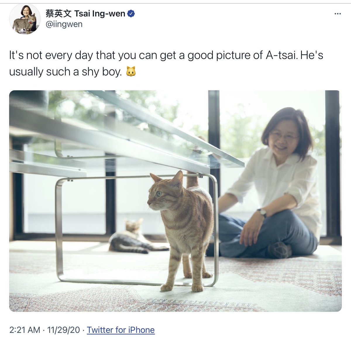 CurtisSChin's tweet photo. Secret 🇺🇸🇹🇼 #cat signals?...
Soon after @CBSSunday #CBS ⬆️ breaks the Biden cat story, #Taiwan President @iingwen Tweets out a #catPic...
Video to follow?
What say you, @cbsnews @RamyInocencio?!
#catplomacy #sundaypets #CatsOfTwitter #catvideos #commonground https://t.co/5qyNXVi1Jk