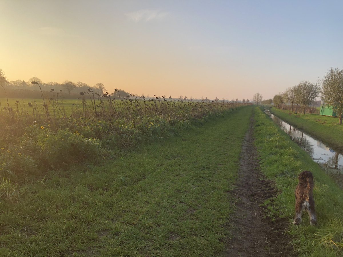 Goedemorgen Nederland☀️❤️